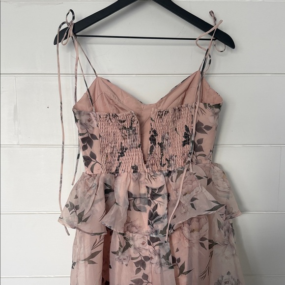 Petal & Pup Blush Floral Maxi Dress - Picture 3 of 6
